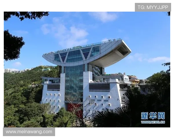 维多利亚国际：剖析其在旅游市场中的发展趋势